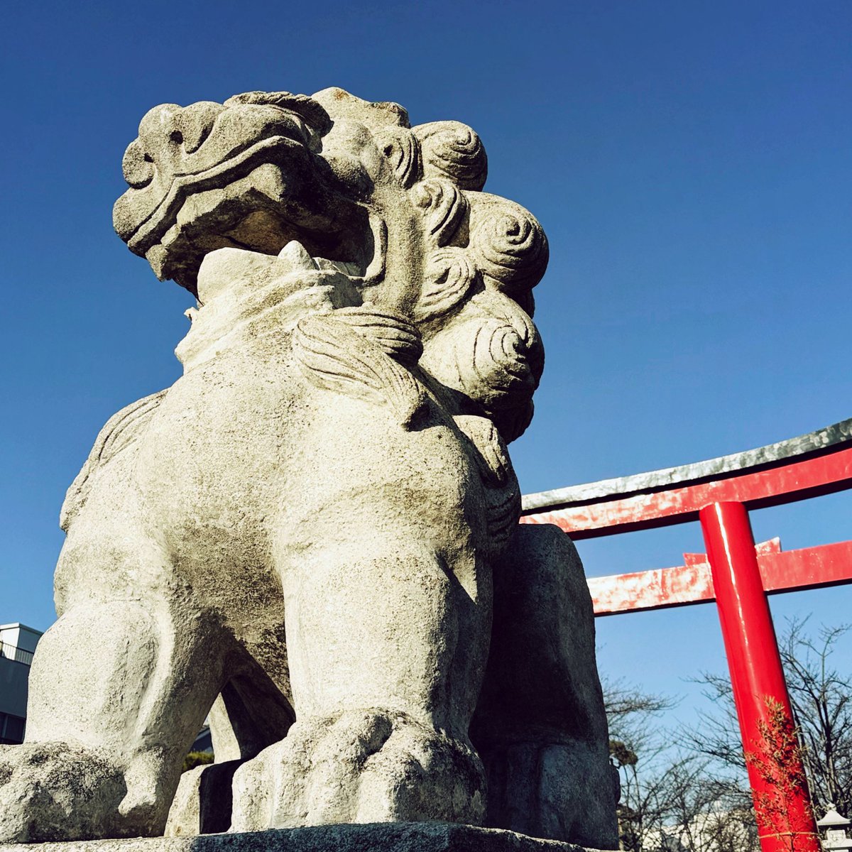 harumi's tweet photo. あけましておめでとうございます
今年もよろしくお願いいたします✨
#鶴岡八幡宮二の鳥居 https://t.co/MTdfjNnz28