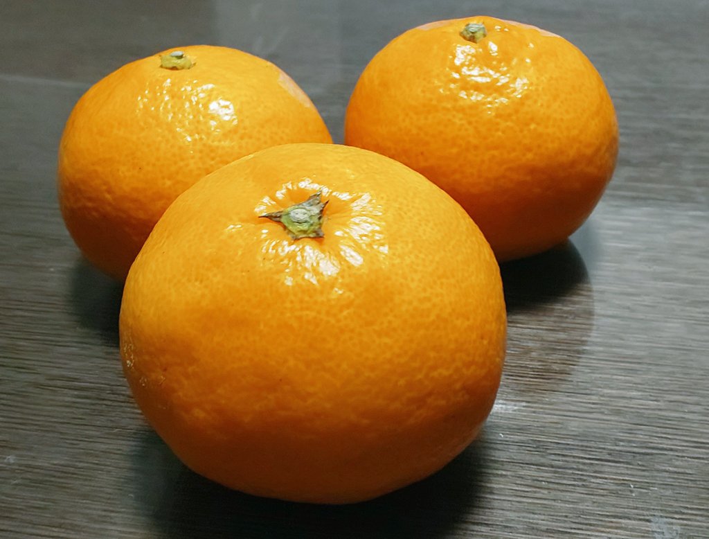 実家でぬくぬく、みかん補給🍊
あけましておめでとうございます！
今年もよろしくお願いします〜🐴