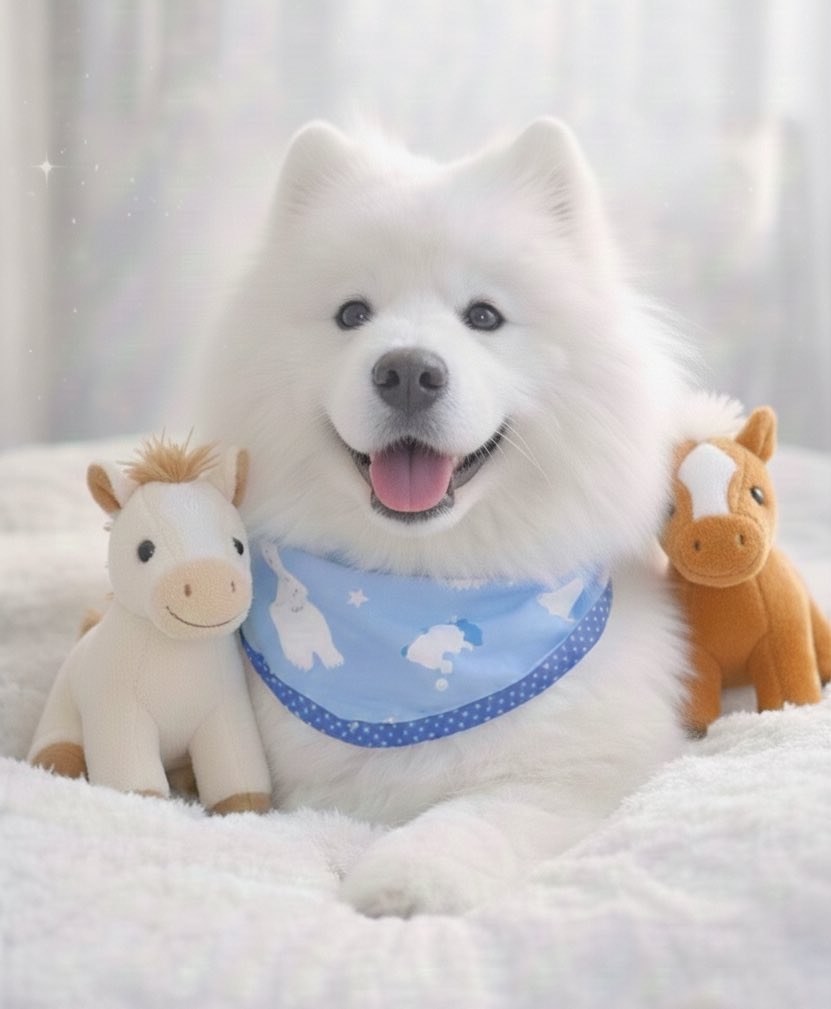 元旦からこの可愛さは半端ないって。
まじ半端ないって。
見た人を笑顔で幸せな気持ちにしちゃうもん。
そんなんできひんやん、普通。