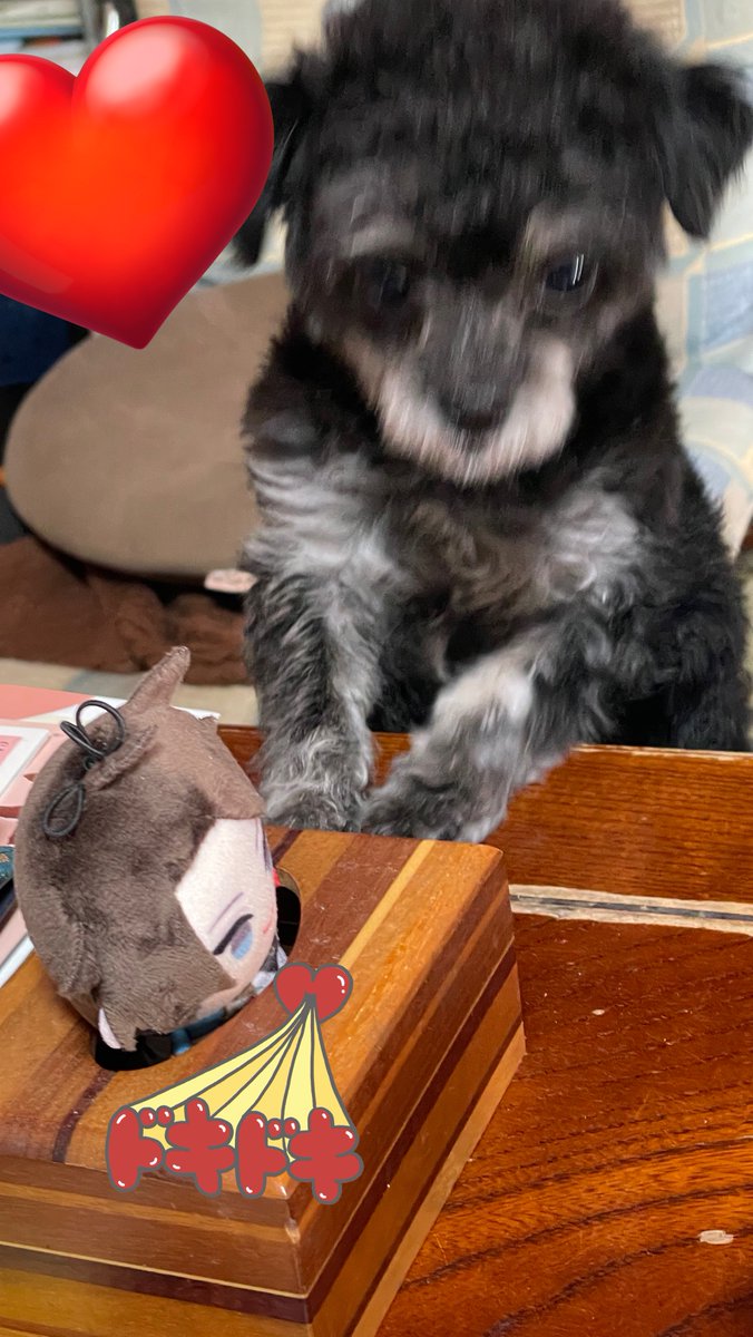 かにゃ (@kanyan0108) / Posts / X