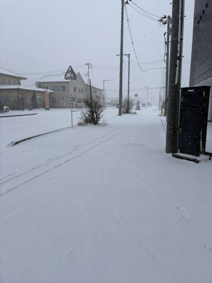 今年は雪あり&amp;人なしの秋田