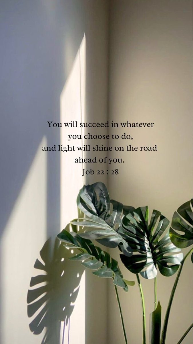 We pray for Light &amp; Success in this New Year ….Guide us Lord. 11:11🪔