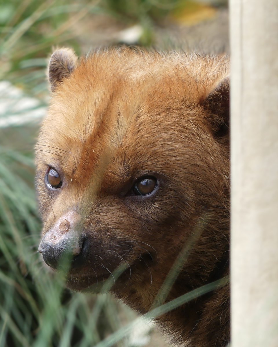 maruページ maruページ mAru。 (@v2911maru) / Posts / X