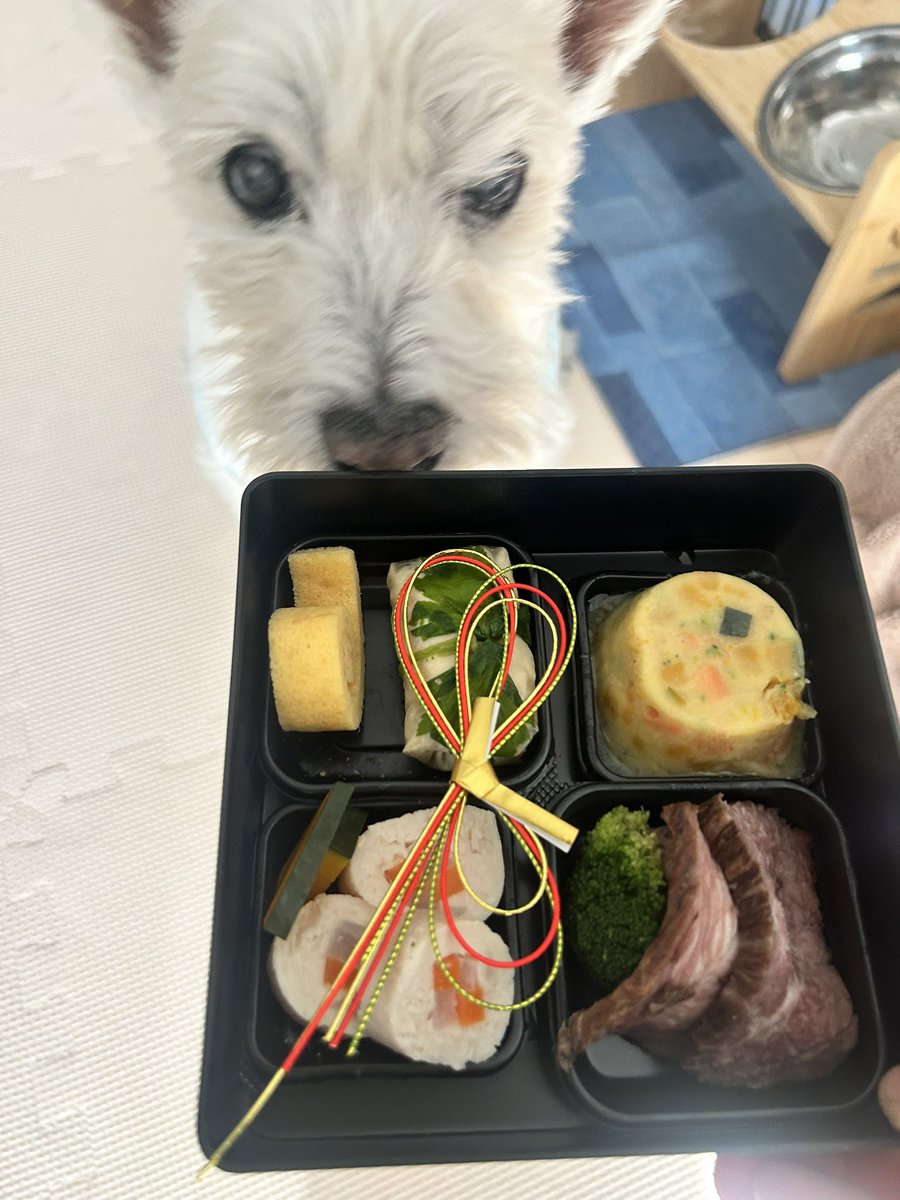 ちーちゃんです。 ちーちゃんですけどもっ第3巻予約発売中です❗️ (@ymc_cheezu