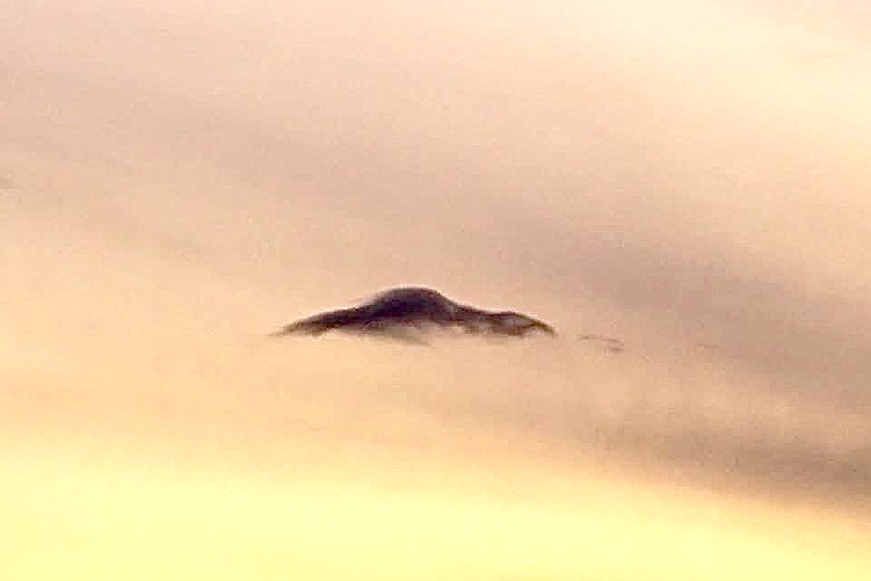 ☆どうみょう☆ tweet media