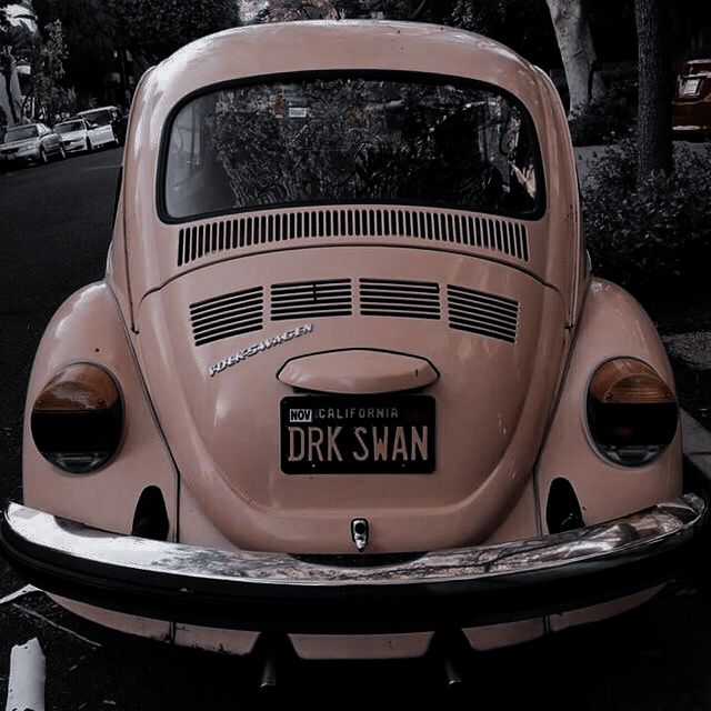 𝐒𝐚𝐬𝐬𝐞𝐧𝐚𝐜𝐡. tweet media