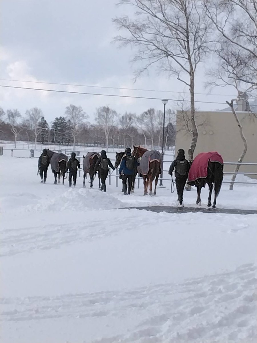 軽種馬育成調教センター