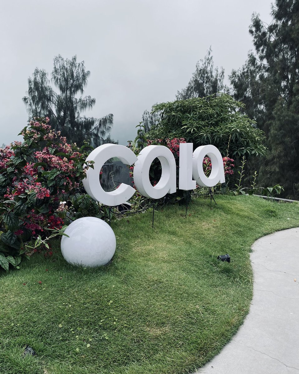 FlyingDitchman's tweet image. 1/365!