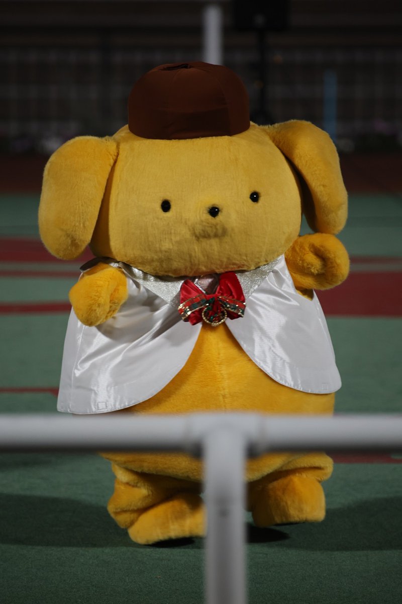 ぷりん伯爵様 1067 今年もよろしくお願いします。