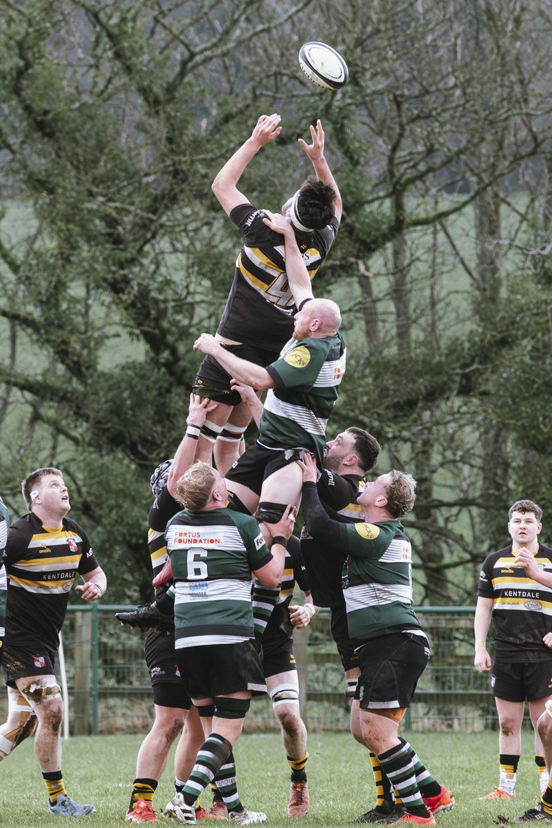 Daniel Toal tweet media