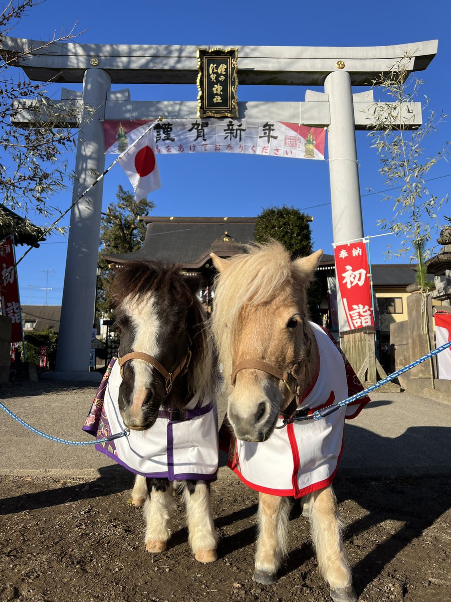 のりな (@norina64) / Posts / X