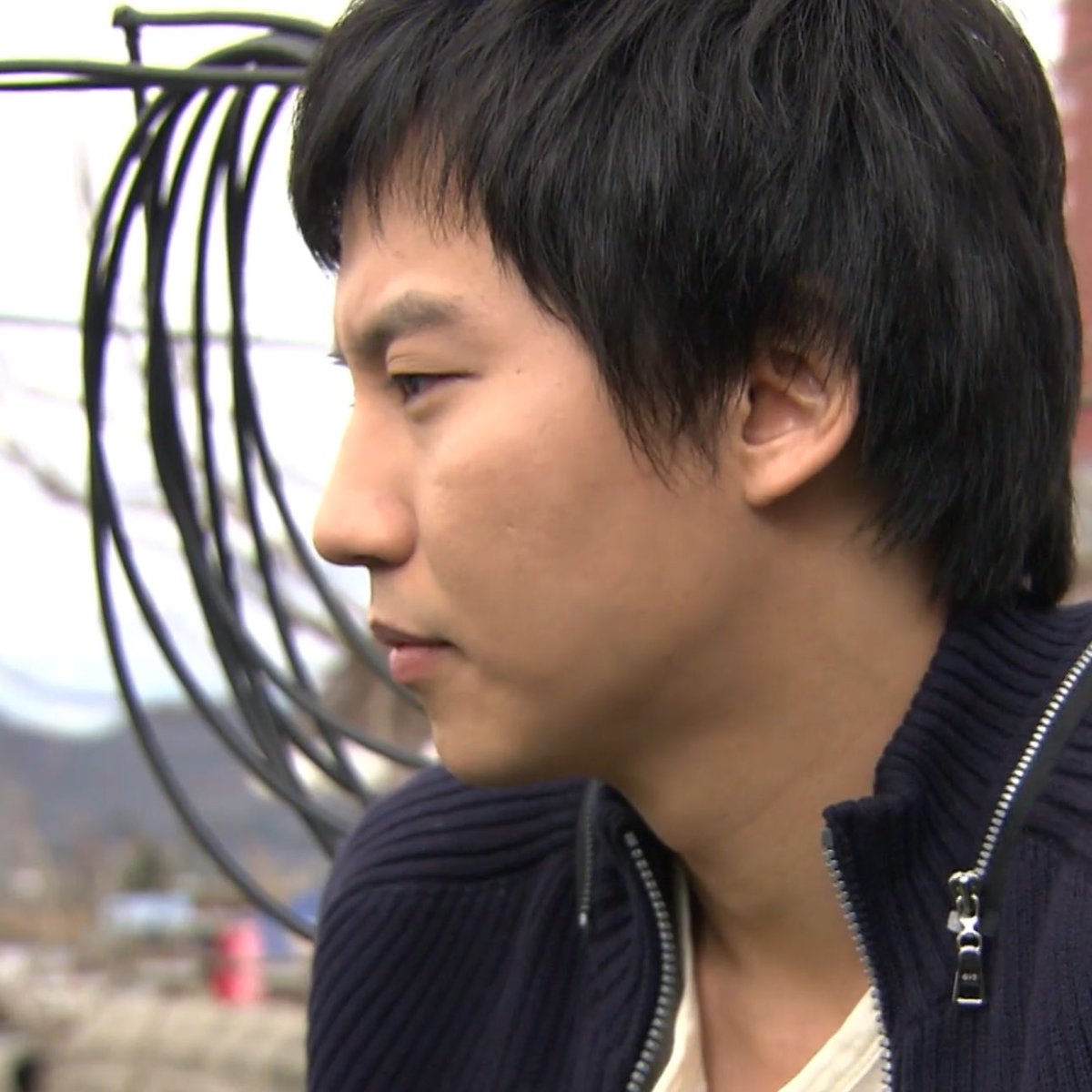 비둘기 tweet media