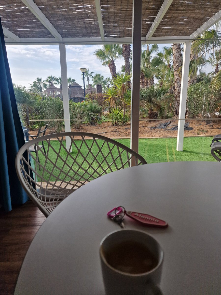 serison2013's tweet image. Bon dia i Bon Any!!
Cafè mentre ja pensem que farem aquest any...
Viatges, trobades, i esperem que alguna desvirtualització interessant.
L'Any 2025 que deixem enrere ens n'ha dut de molt bones!!!
Gracies a tots/es per ser-hi