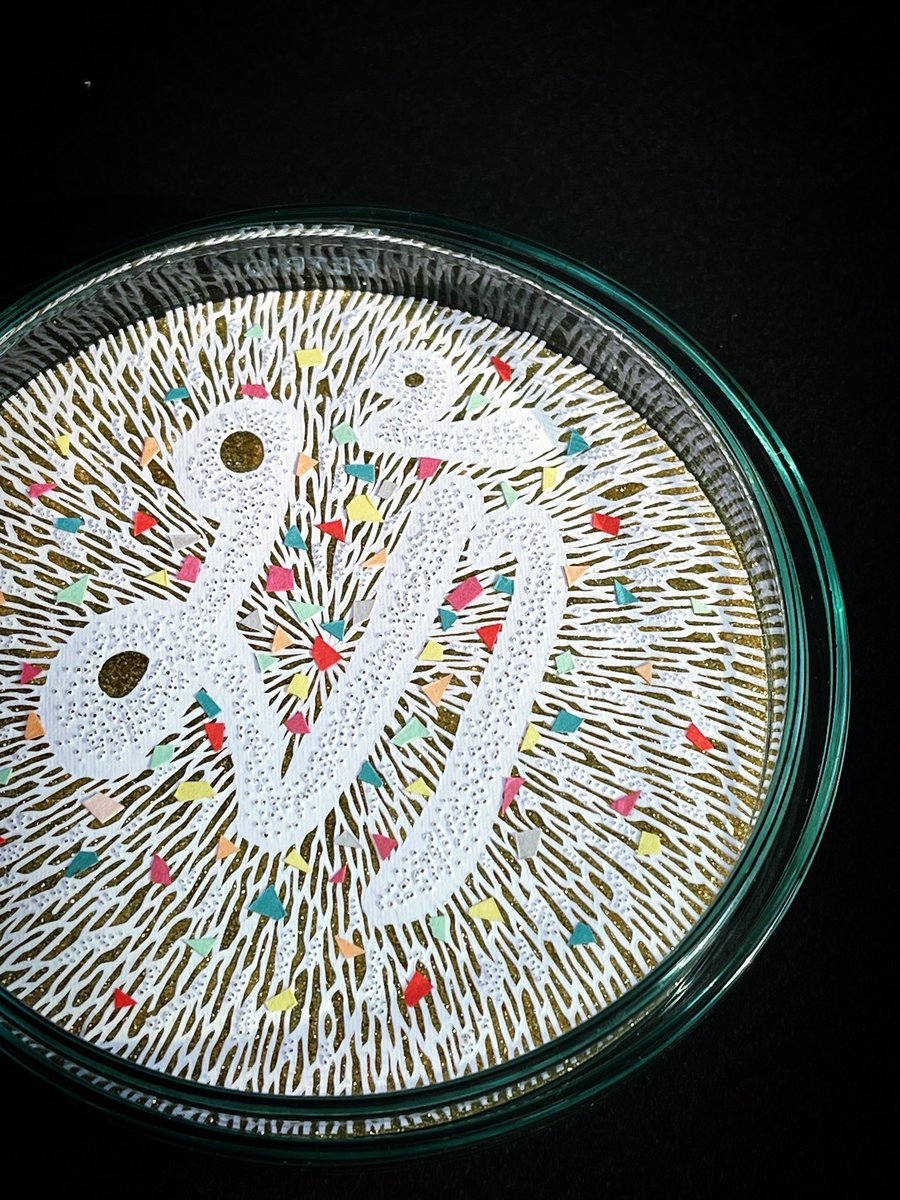 COLLAGECANTO tweet media