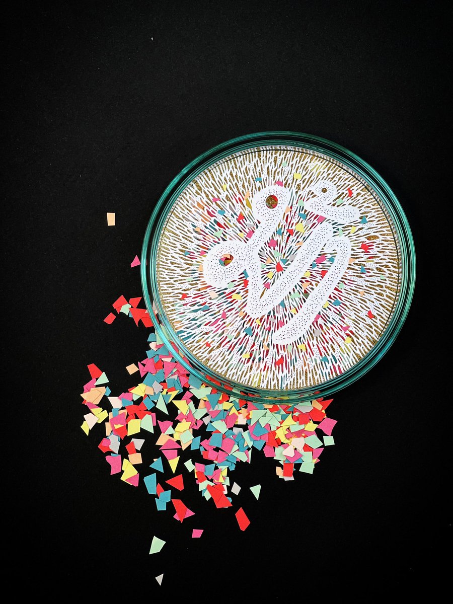 COLLAGECANTO tweet media