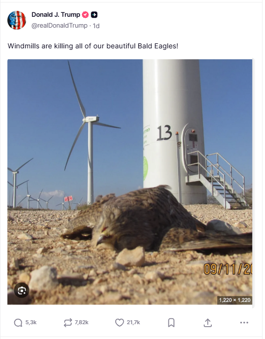 fxcalmettes's tweet image. - Israel Windmills
- It's not a Bald Eagle
- 09/11 (2)

#QStyle