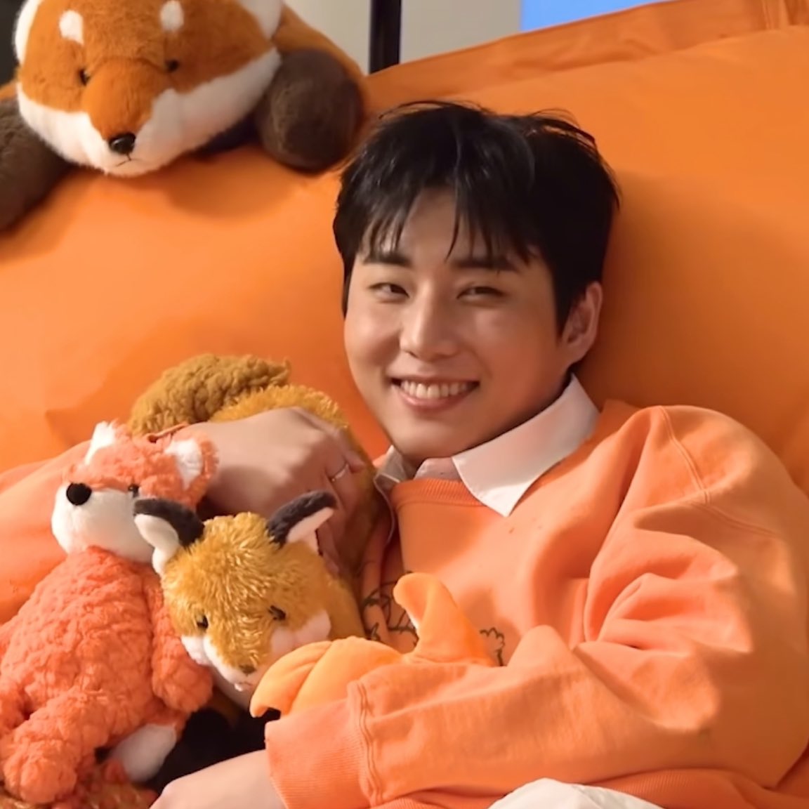 bandew_'s tweet image. 엄청 치즈냥이