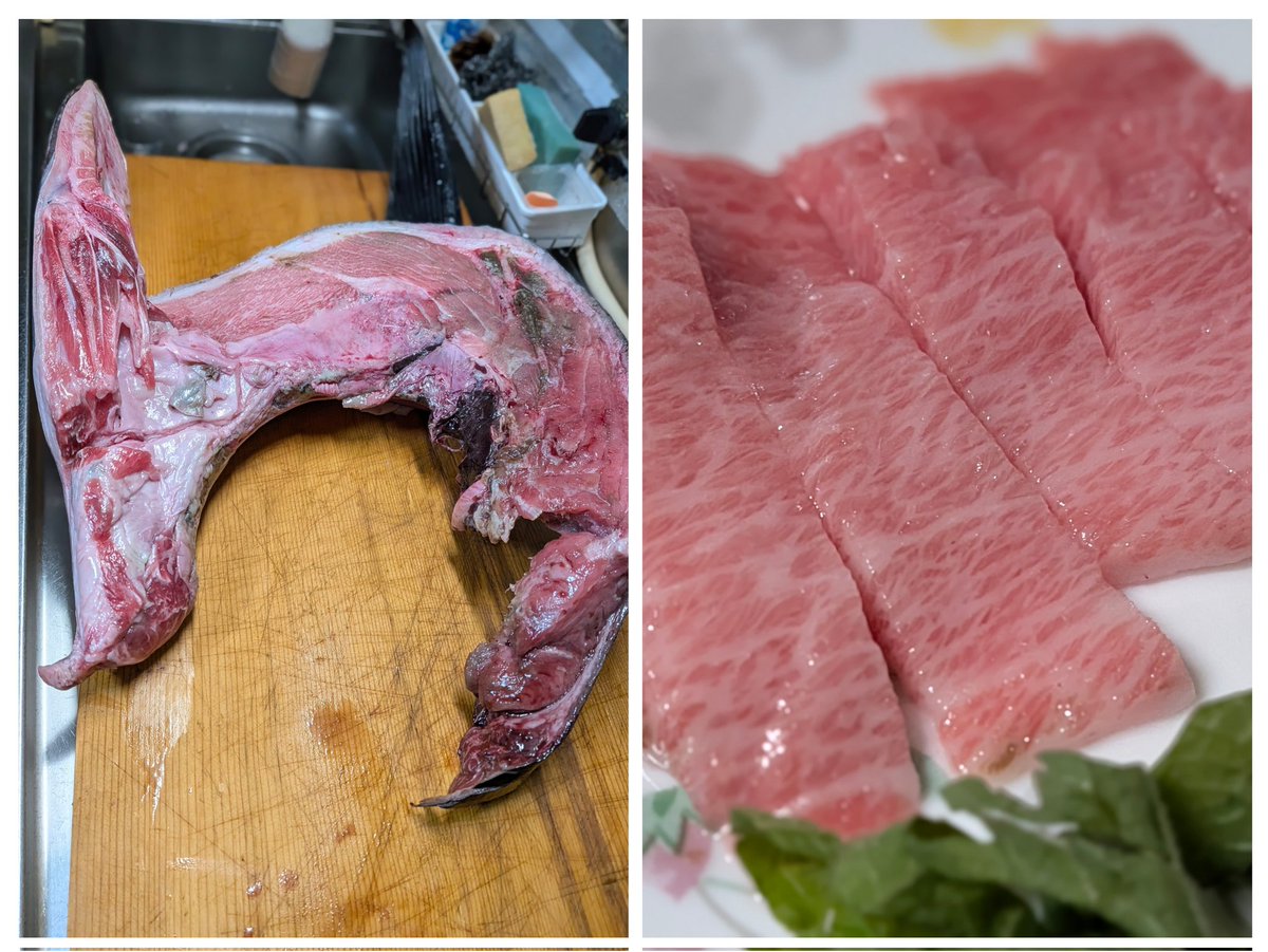 rupadkenny's tweet photo. マグロのカマ買ってきて大トロ&amp;ねぎとろ
美味しゅうございました。 https://t.co/BPPorGRfCL