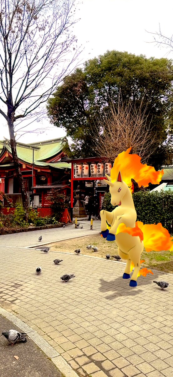 しんや (@shin8m7) / Posts / X