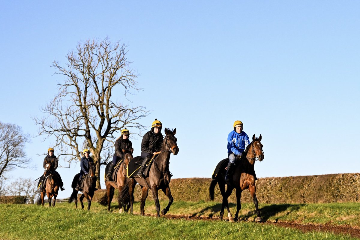 Henry Daly Racing tweet media