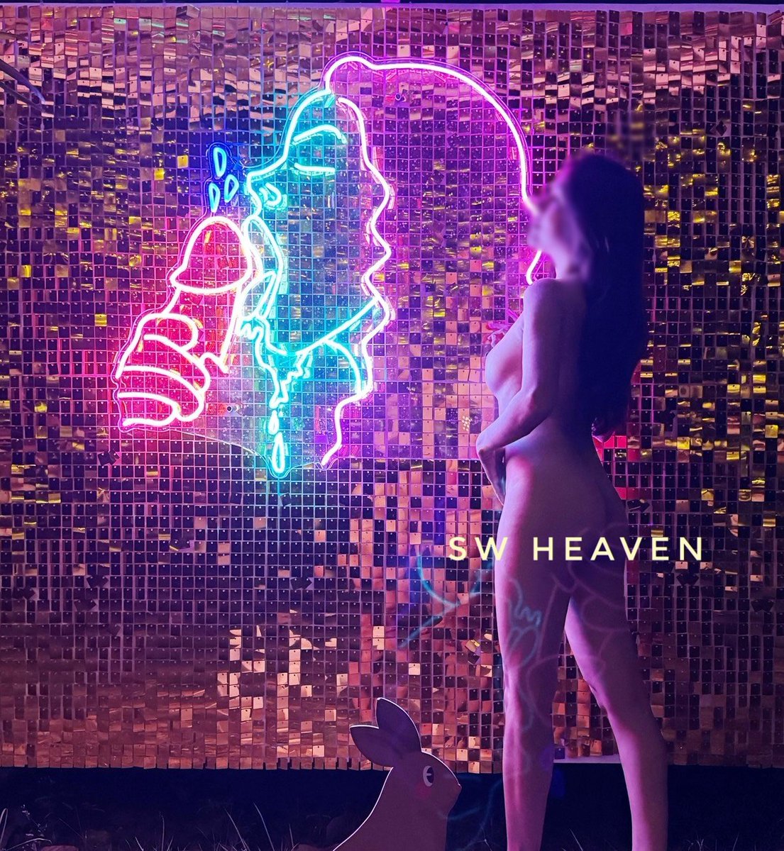 SW_Heaven tweet media