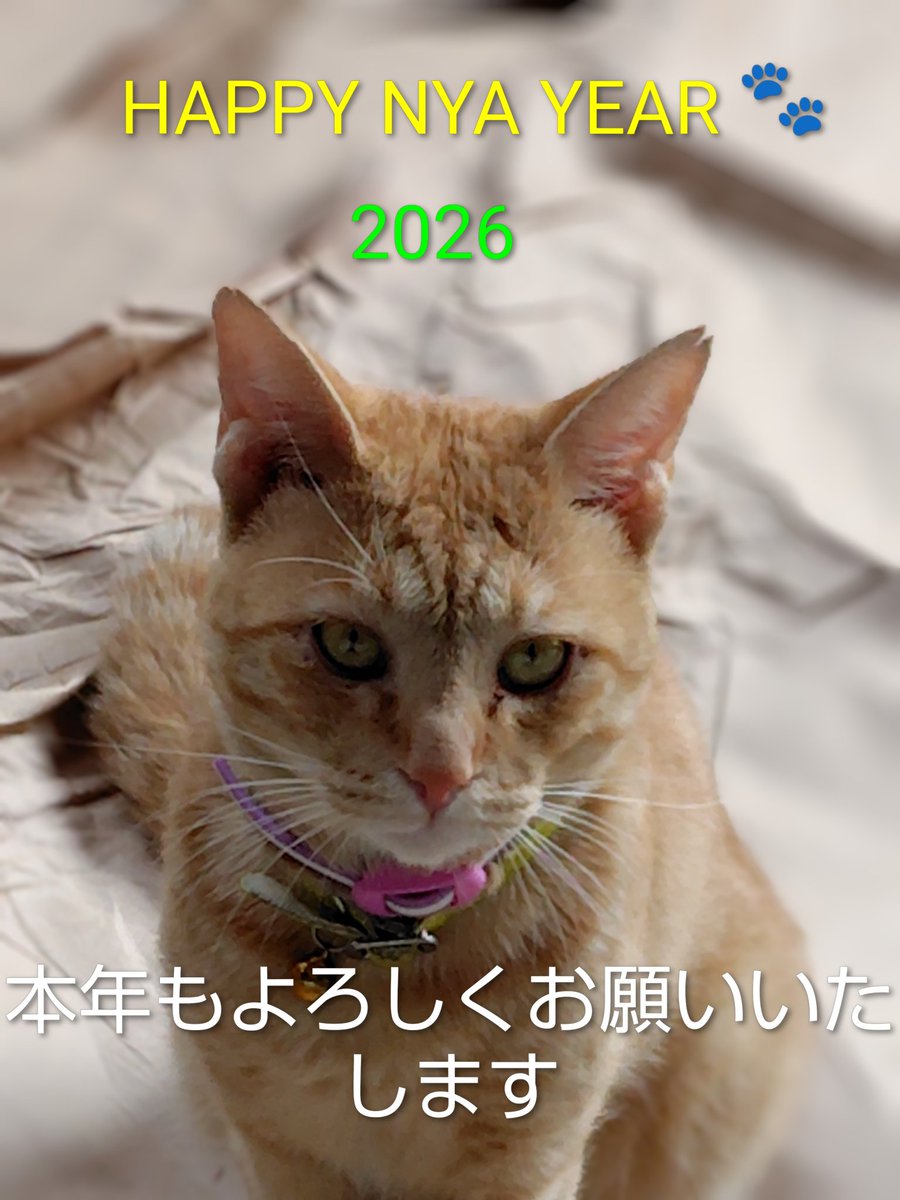 naka696's tweet photo. https://t.co/NWH8Y4jWPh