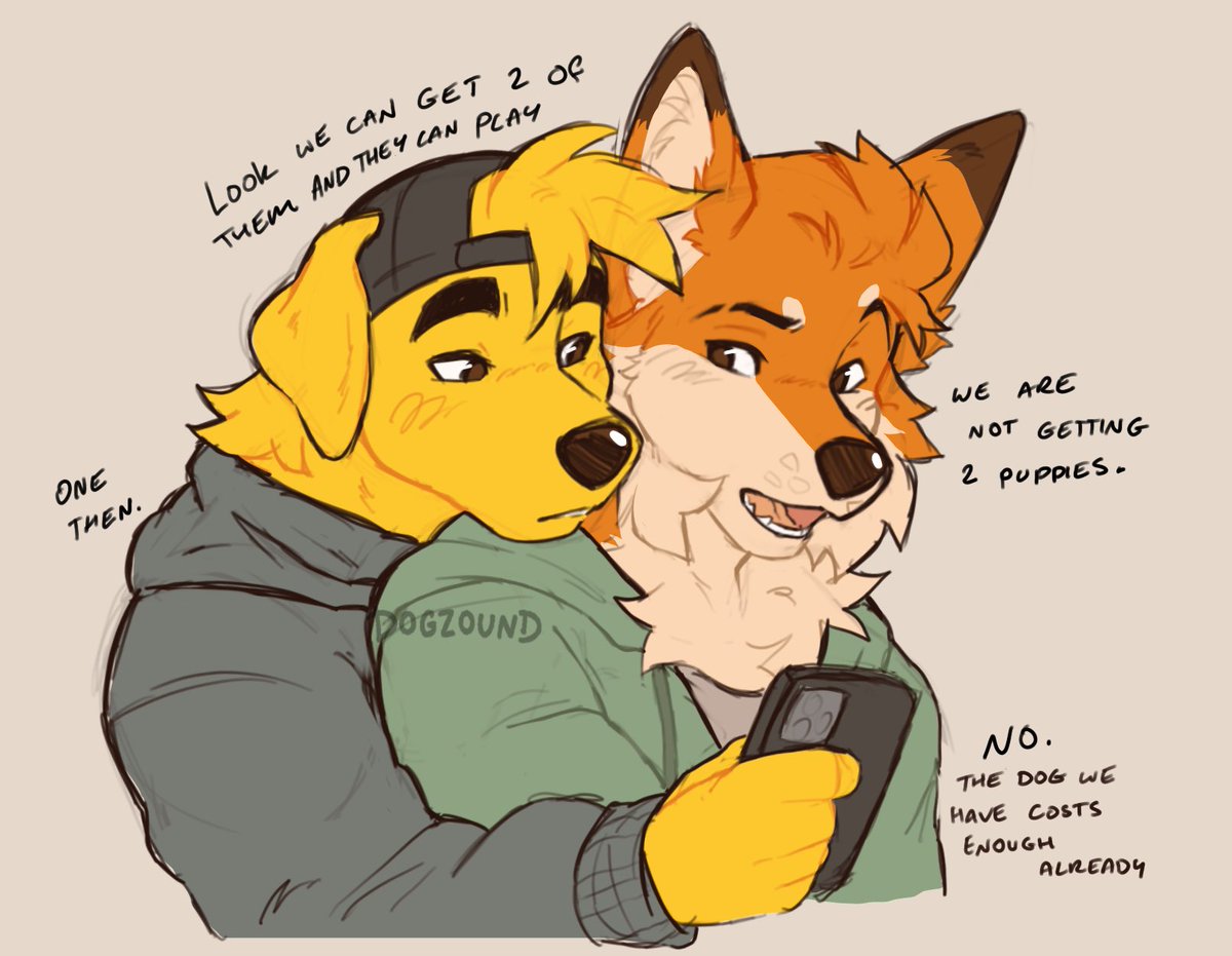 dogzound's tweet image. Voice of reason