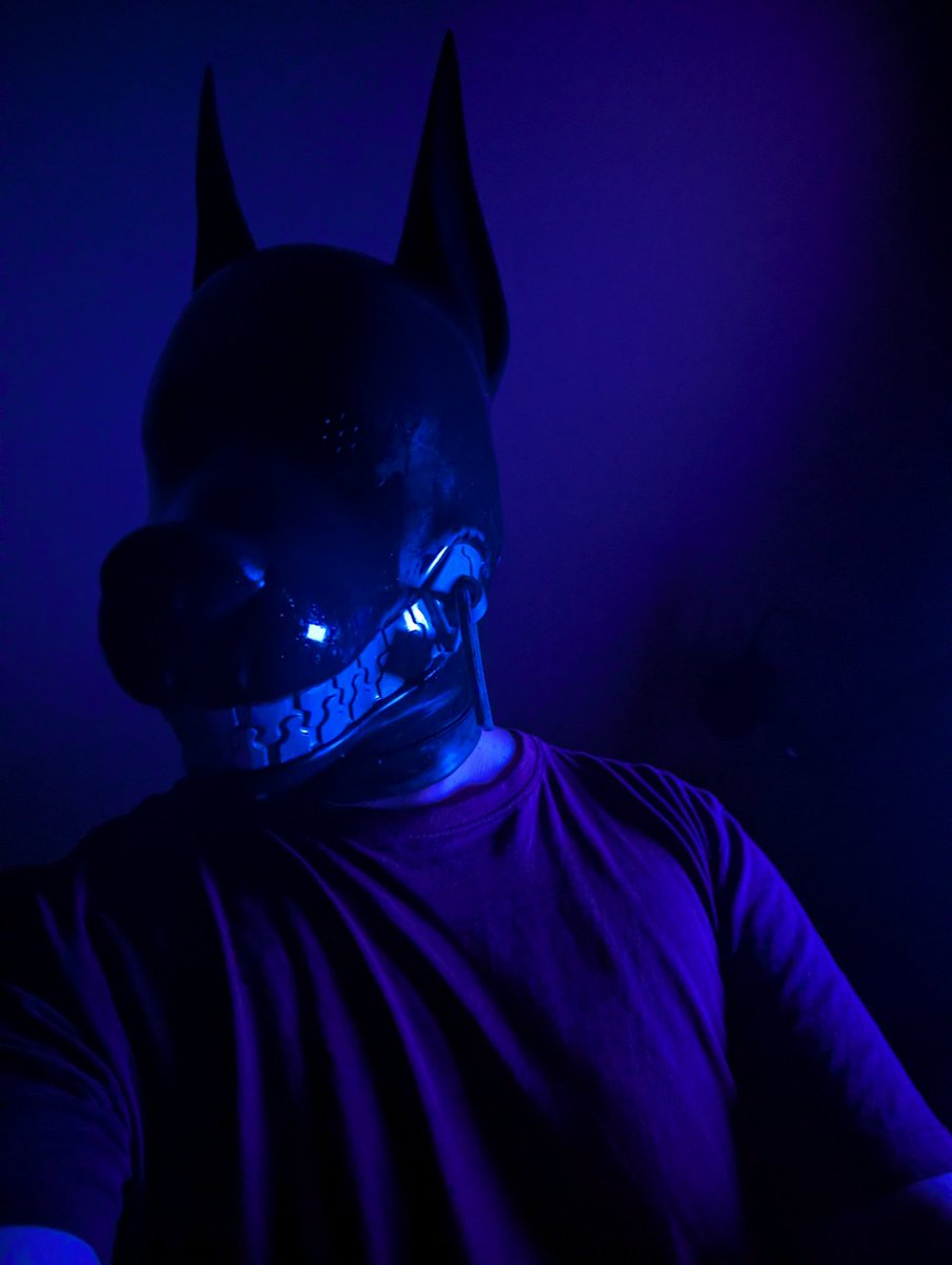 6TB Furry porn Zip Bomb 🔜 Česfur, Awoostria tweet media
