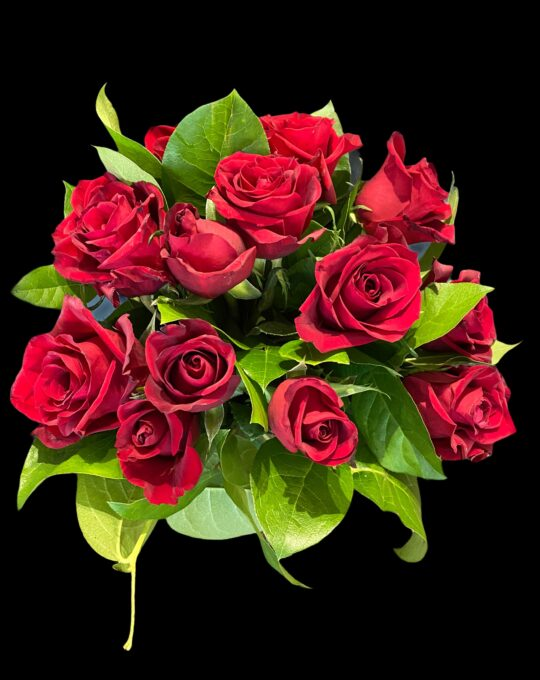 GiorgioLibrala2's tweet photo. Buon 2026. Auguri per qualsiasi obiettivo, speranza, sogno, progetto, affetti, serenità, dolcezza, rispetto, lavoro, casa, mezzo di trasporto. Auguri al nostro pianeta non per essere governato ma rispettato  nell'armonia della natura e tutti esseri viventi https://t.co/v2XasMmxtj https://t.co/1ZY1zhNiM7