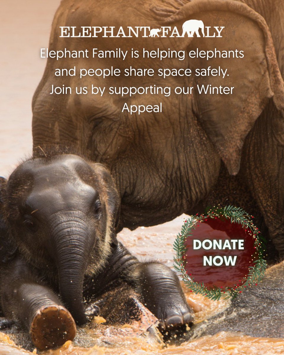 Elephant Family tweet media