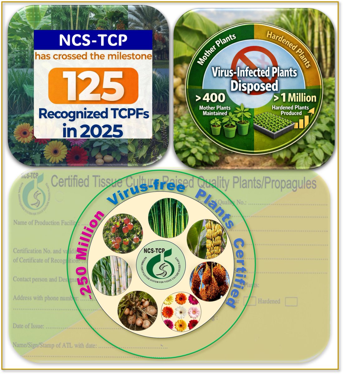 NCS-TCP tweet media