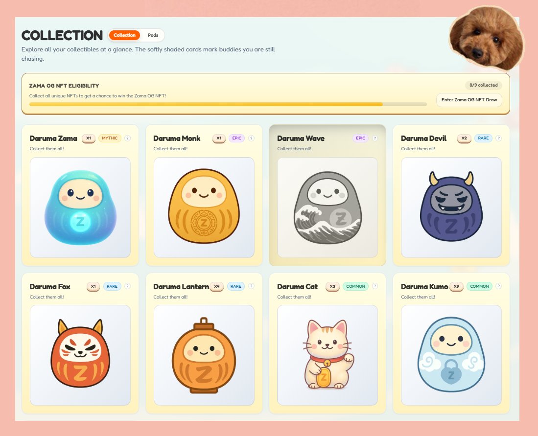 Poodle 🐩 tweet media