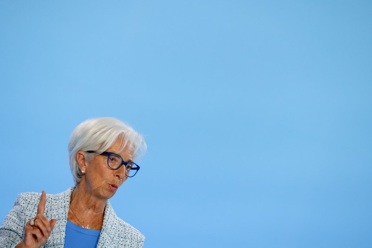 Zoe Schneeweiss tweet media