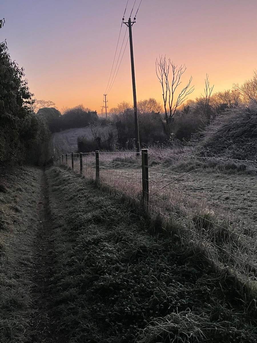 FlissZak (has her website live!) tweet media