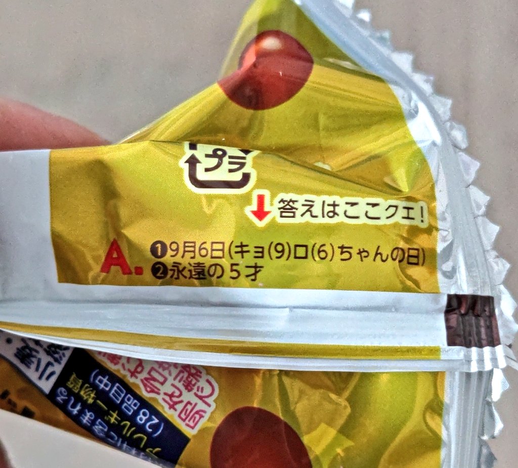 キョロちゃんの誕生日が、私の弟と同じだった！そして母と2人で新年