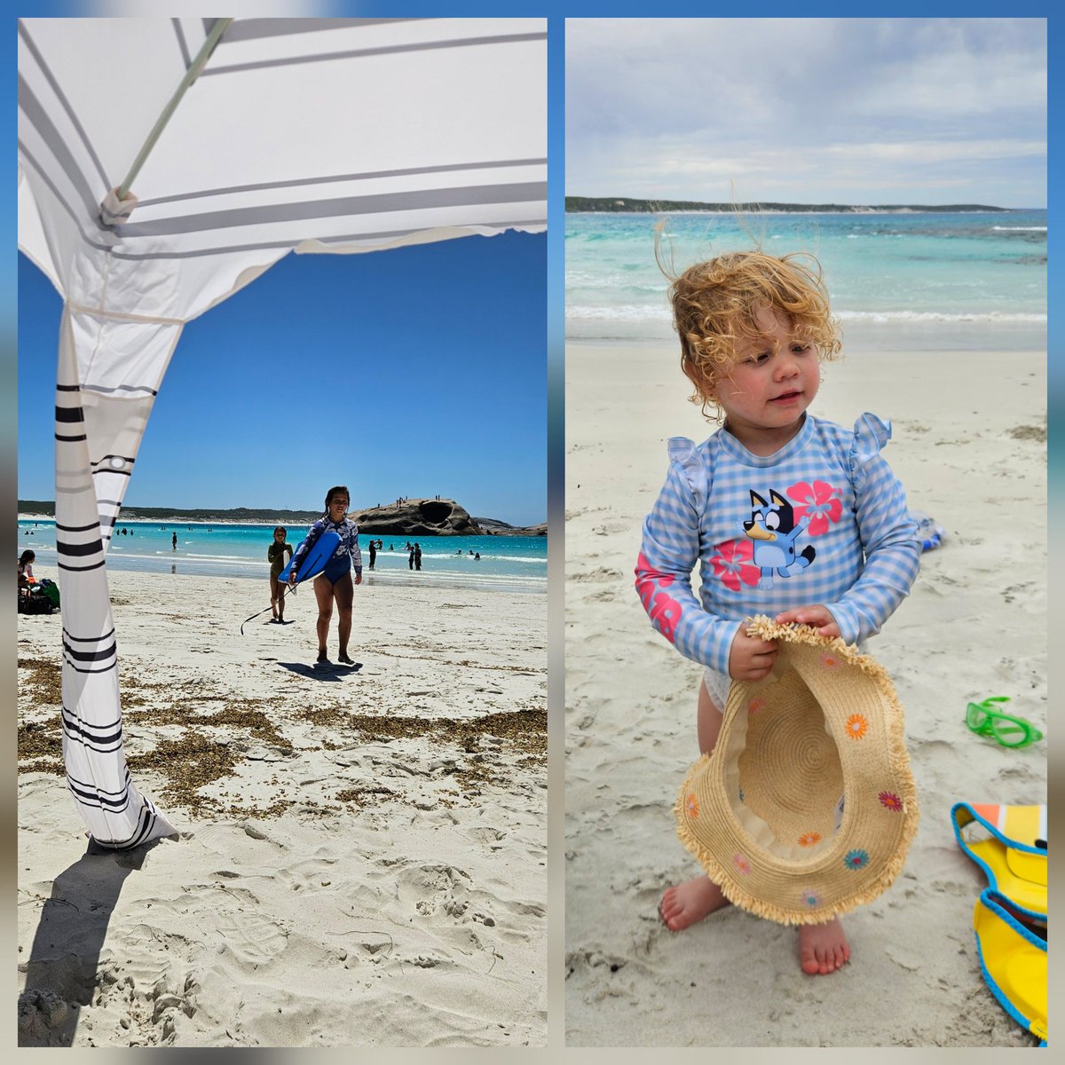 Paul Carmody tweet media