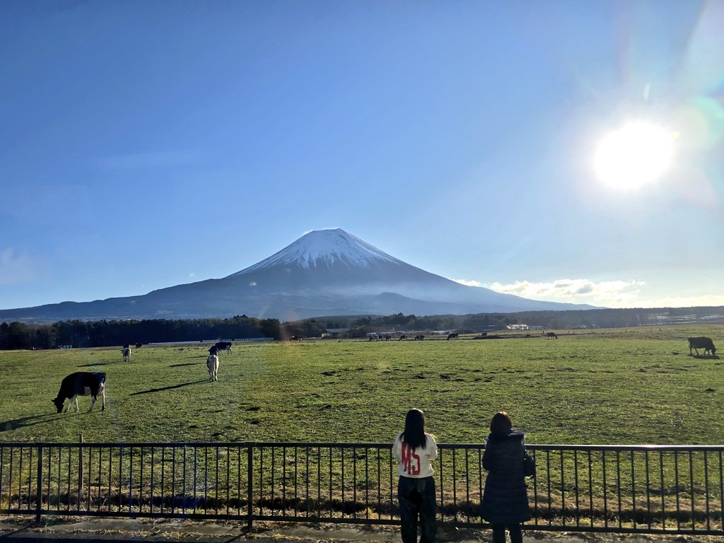 tomothink's tweet image. 午年の牛🗻