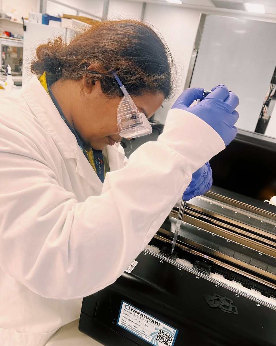 Satou Lab - Kumamoto University tweet media