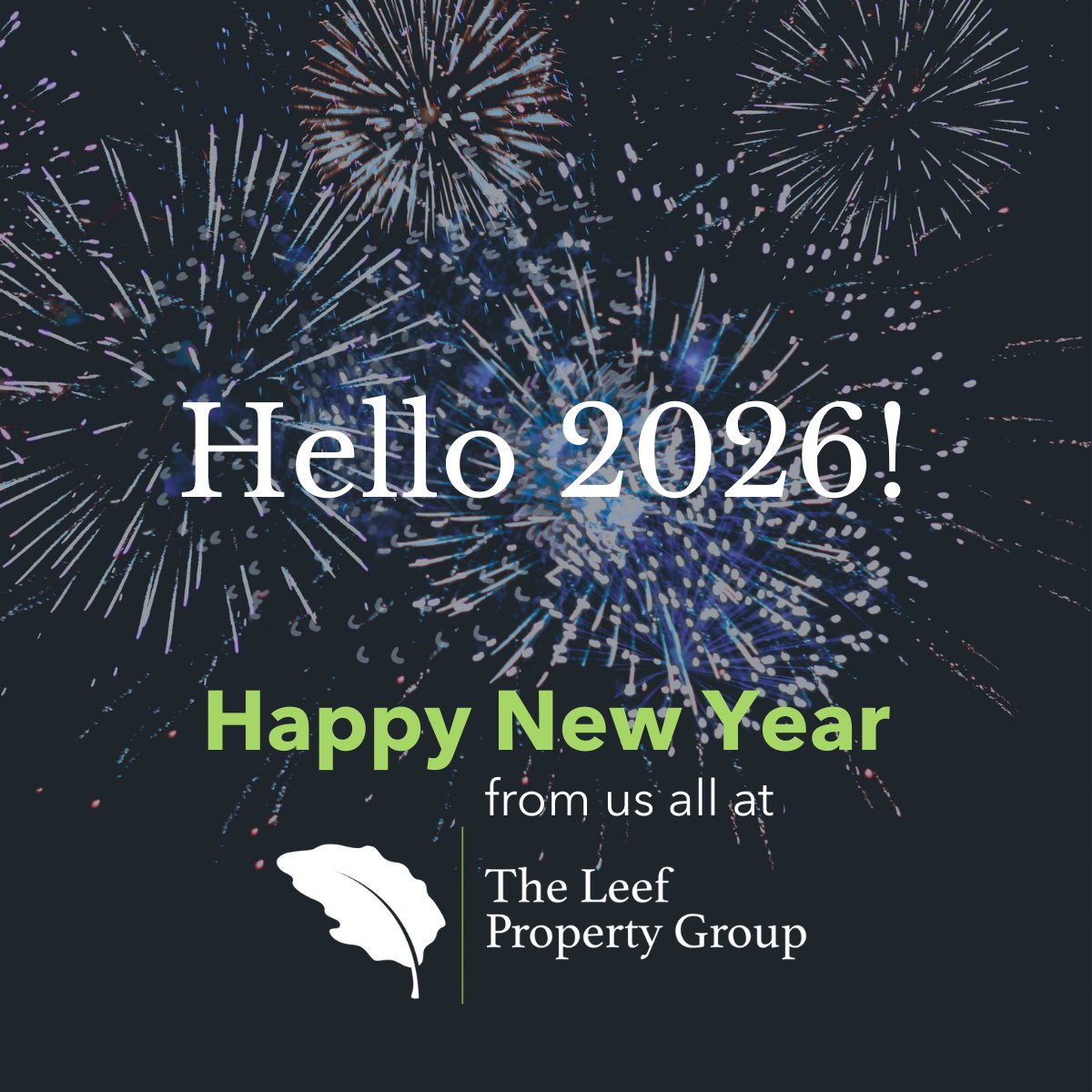 Leef Property Group tweet media