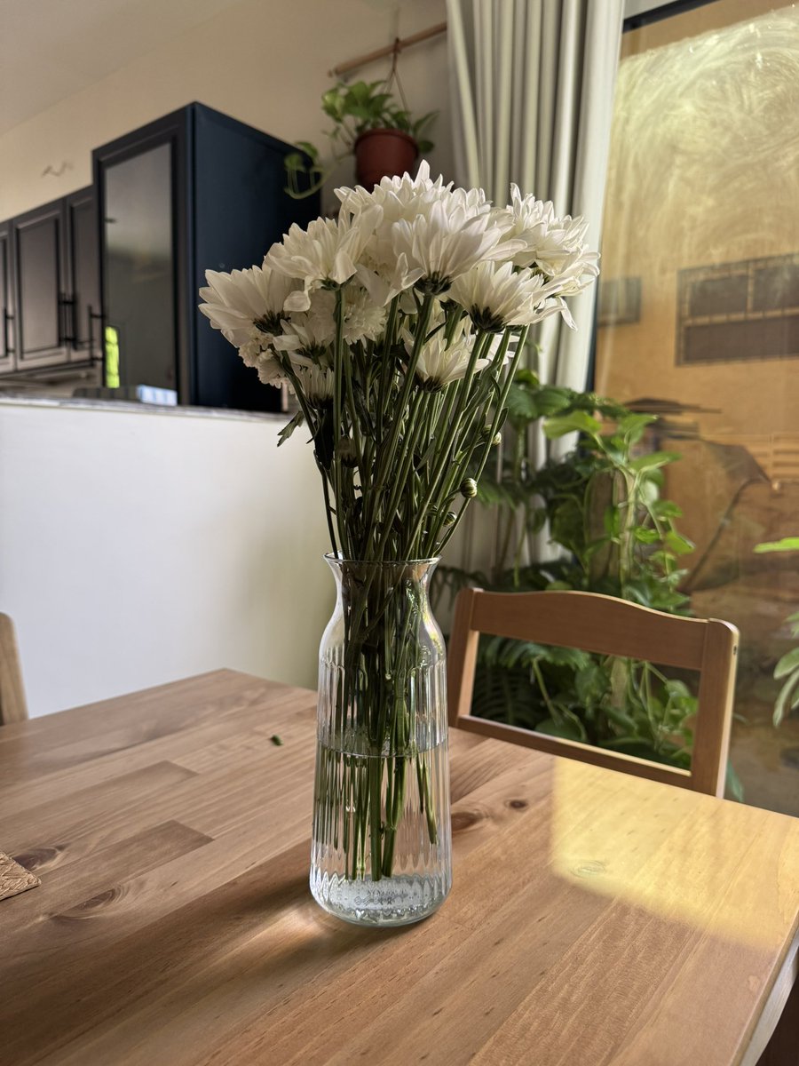 1 January 
ورود بيضاء، لسنة نقية، ولأيام هنية🤍