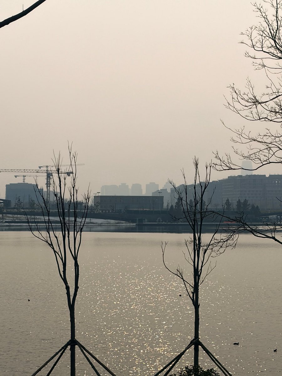 郑州~龙五 tweet media