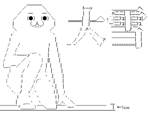 たぬき (@YJTheRaccoonDog) on X