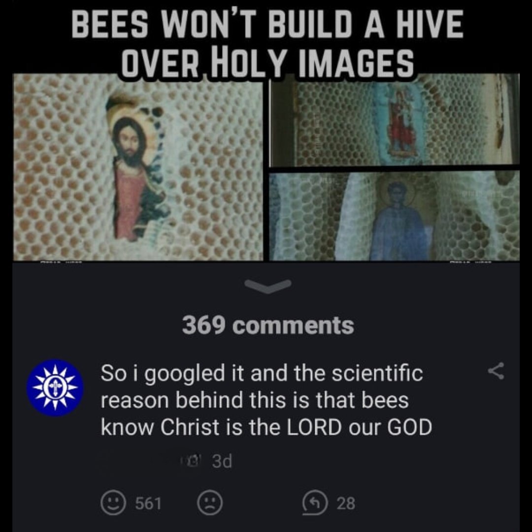 Trad West tweet media