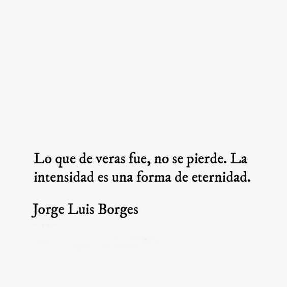 literlandweb1's tweet image. 