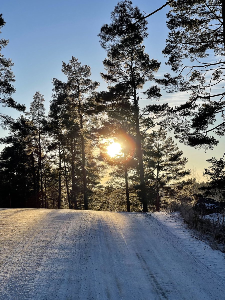 Valoisia päiviä
2026
Bright days
✨☀️✨
 01/26 #uusivuosi #NewYear