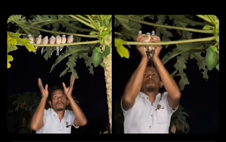 Harde147's tweet image. 