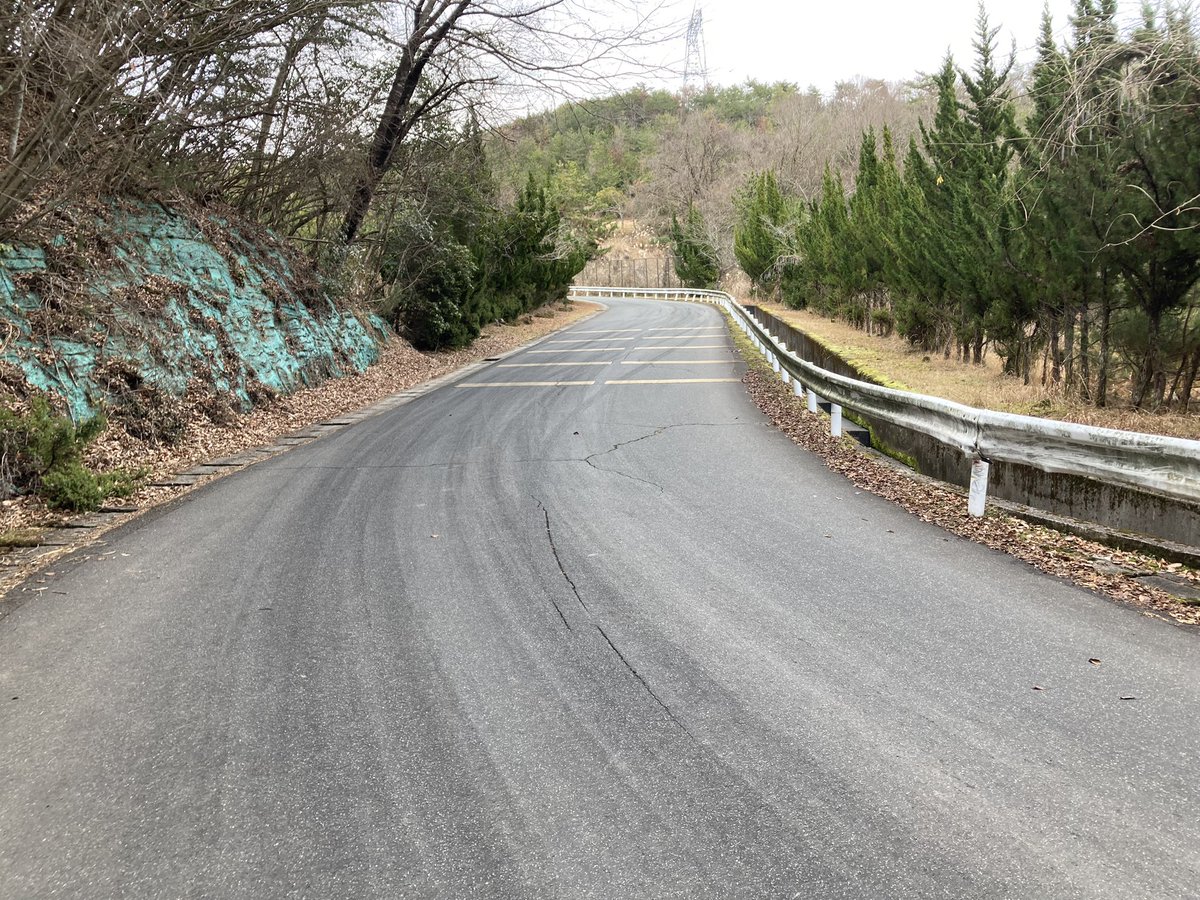 laizer0331's tweet image. 初詣行ってきた