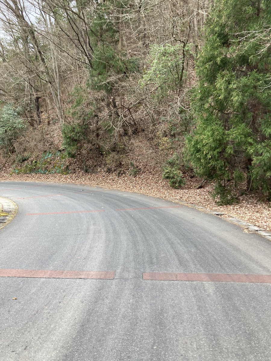 laizer0331's tweet image. 初詣行ってきた