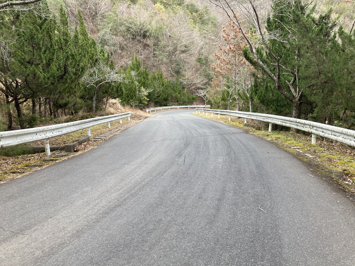 laizer0331's tweet image. 初詣行ってきた