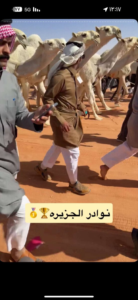#ابن_جخدب

والله الي سرح عليهم العود بنوادر الجزيرة 🥇🏆